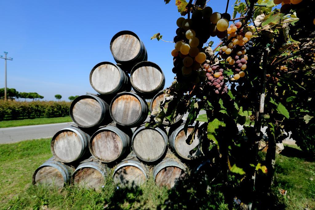 Agriturismo Trerè Faenza Exterior foto