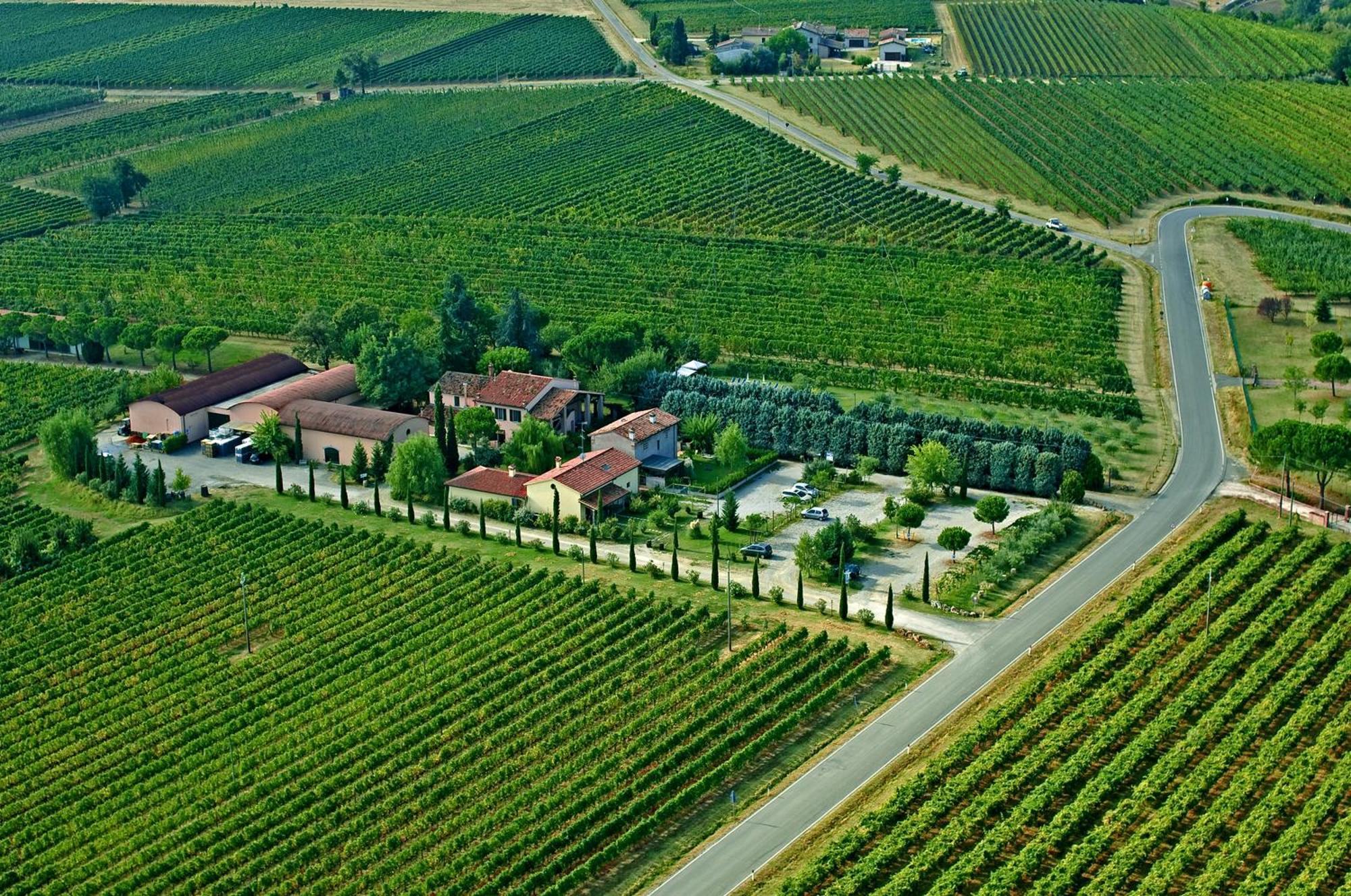 Agriturismo Trerè Faenza Exterior foto